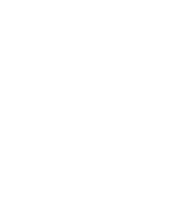 Silk Software House
